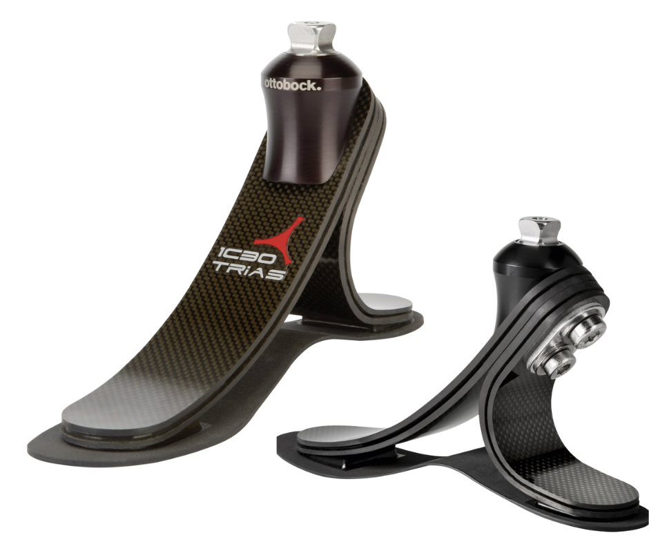 Bàn chân Trias 1C30