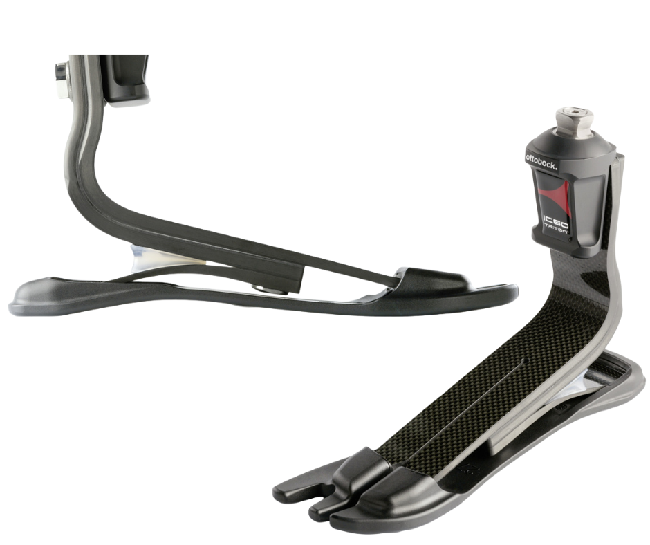 Bàn chân Trias 1C60